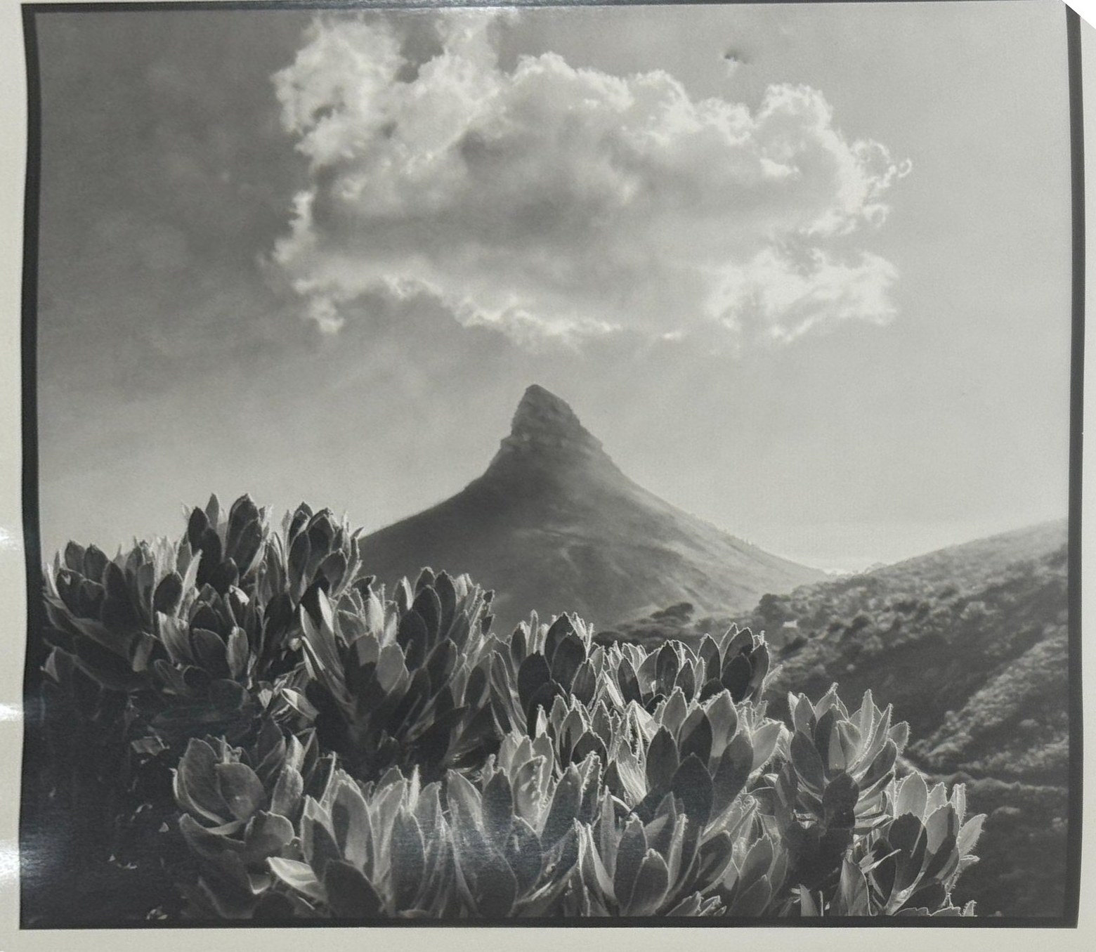 The finished print made from that negative: a bright cloud above a dark mountain peak and a bank of leaves