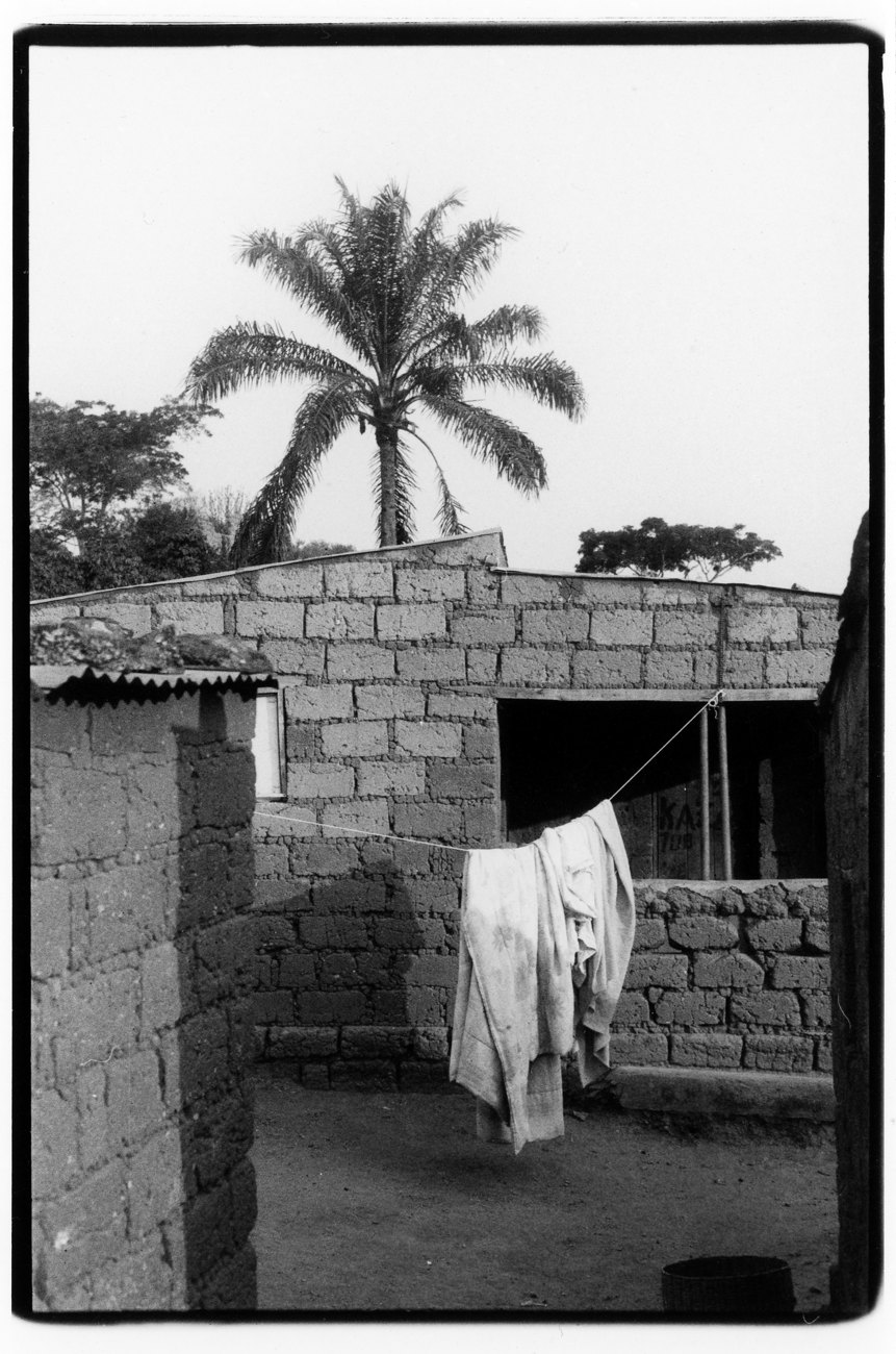 A black and white print of a palm tree above a brick house with washing hung out