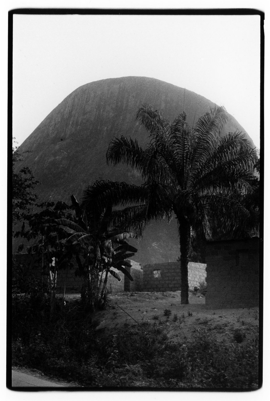 A black and white print of palm trees in front of a large rounded rock hill